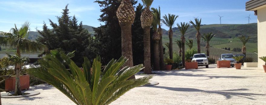 Tenuta Rapitala Winery