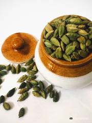 Kerala Spices & Herbal Garden Visit