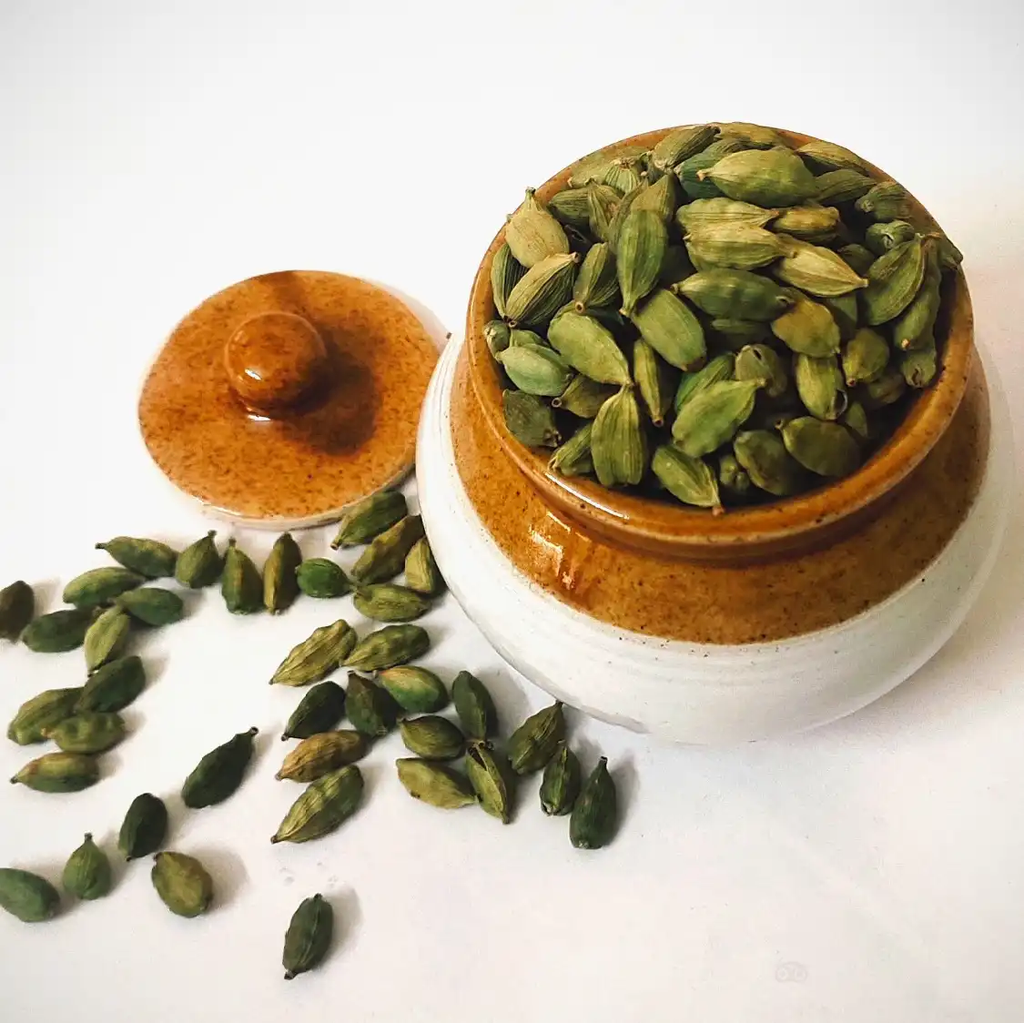 Hotels near Kerala Spices & Herbal Garden Visit