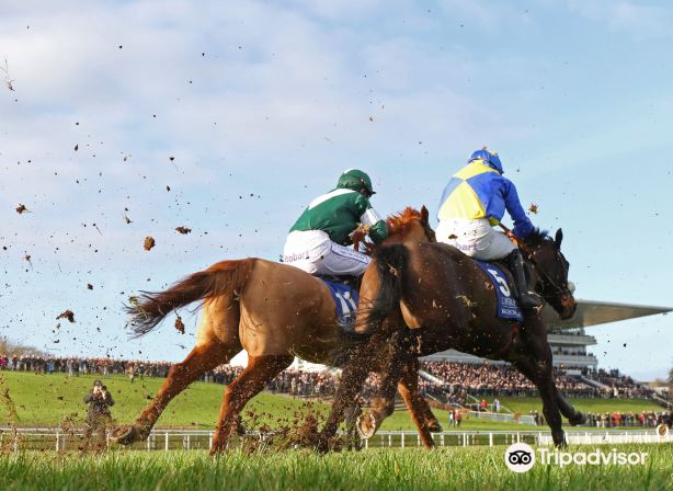 Limerick Racecourse