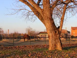 Parco Urbano Franco Agosto