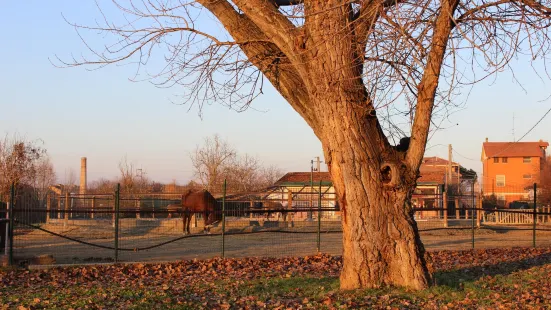 Parco Urbano Franco Agosto