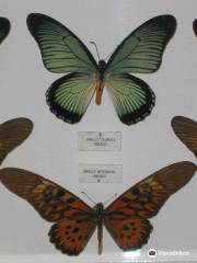 Museo Mariposas del Mundo