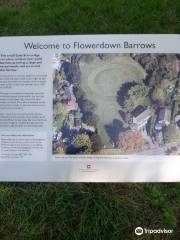 Flowerdown Barrows