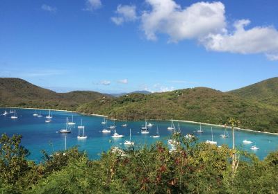 Coral Bay