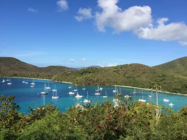 Coral Bay