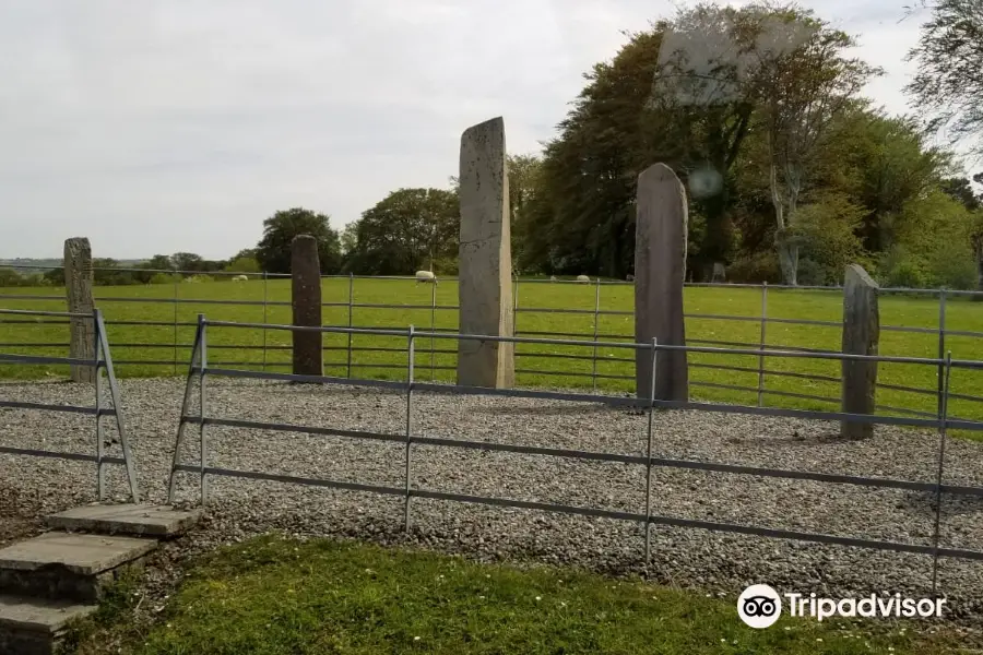 Ogham Stones