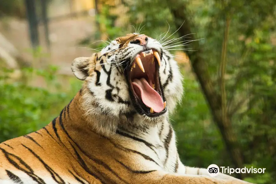 ZOO Ljubljana