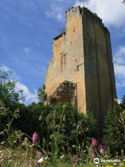 Forteresse de Miremont