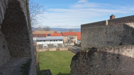 Ingelheim Imperial Palace