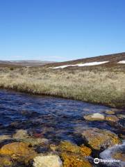 Kevo Strict Nature Reserve