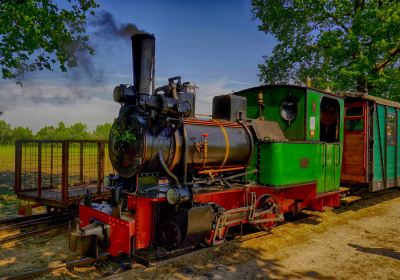 Deutsches Feld- und Kleinbahnmuseum