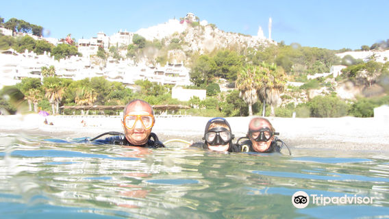 Scuba Tropical