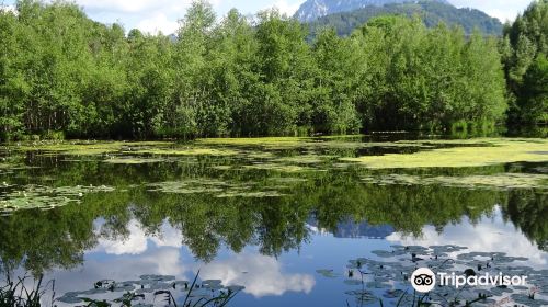 Krottensee