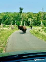 White Horse Hill National Game Preserve