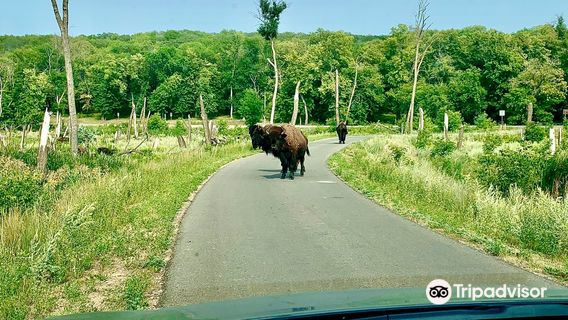 White Horse Hill National Game Preserve