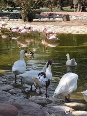 アル・アリーン野生動物公園