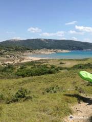 Podšilo beach