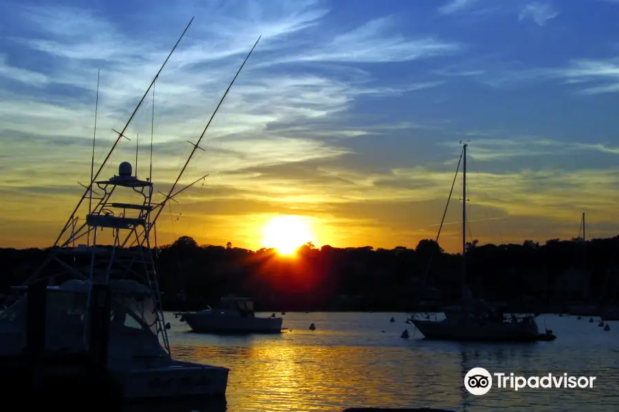 Oak Bluffs Marina