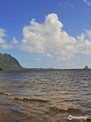 Waiāhole Beach Park