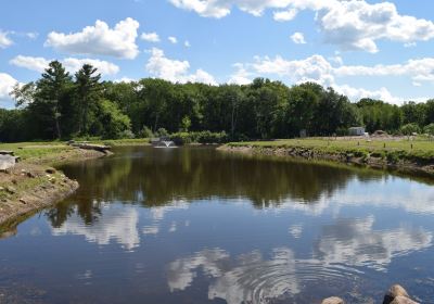 Leyden Farm Vineyard & Winery