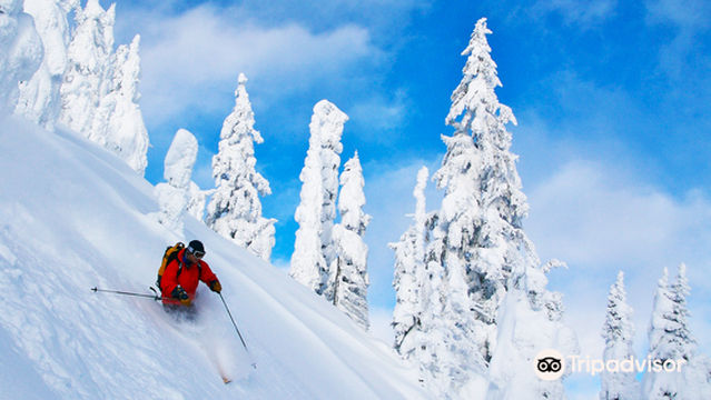 Mountain Skills Academy & Adventures