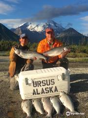 Ursus Alaska