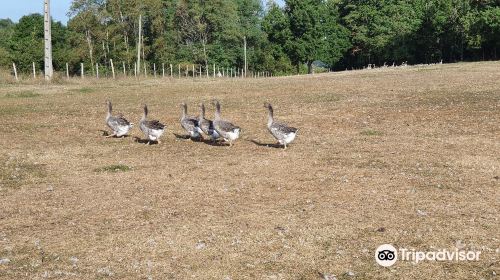 Le Domaine de Barbe