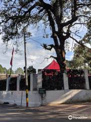 Jhula Devi Temple