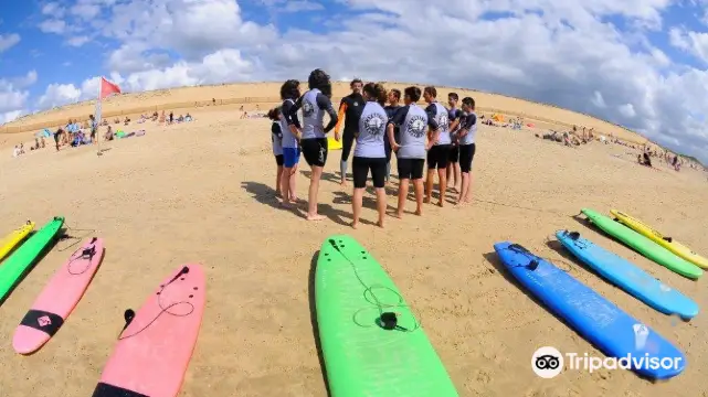 Santocha Surf, Skate & Bodyboard Club - Surf en Capbreton
