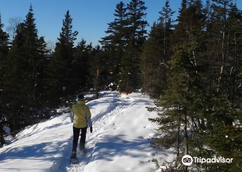 Marathon Cross Country Ski and Snowshoe Club