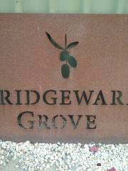 Bridgeward Grove