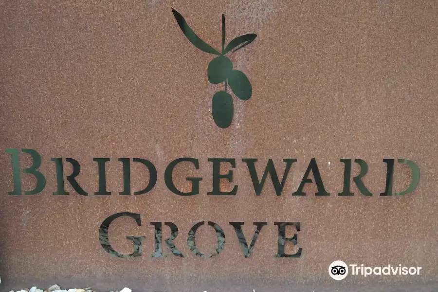 Bridgeward Grove