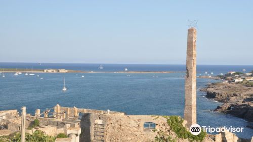 Scoglio Maltese