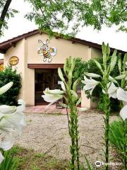 Musée La Maison des Abeilles