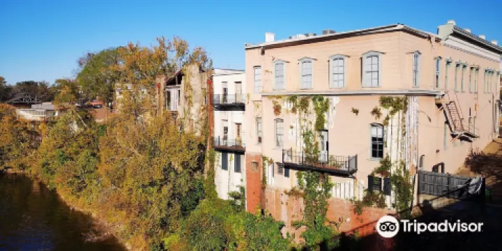 埃德蒙·佩特斯橋