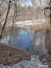 Blue Springs of Saula