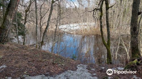 Blue Springs of Saula