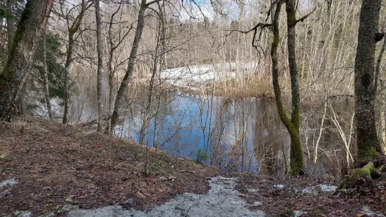 Blue Springs of Saula