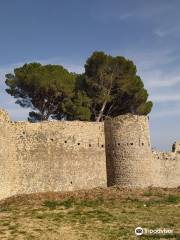 Chateau des Guilhem