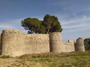 Château des Guilhem