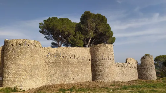 Chateau des Guilhem