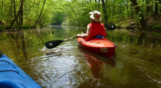 Spotsylvania County