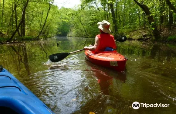 斯波特瑟爾韋尼亞縣