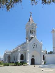 Catedral San Pedro Apóstol