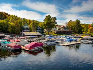 Rivett's Old Forge Marina