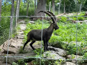 Tierpark Stadt Haag