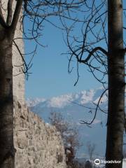 Tour d'Arces - Patrimoine