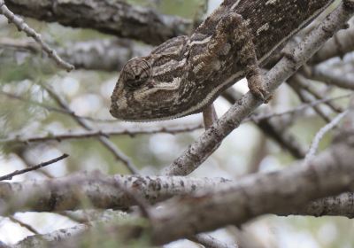 Réserve Naturelle de Għadira