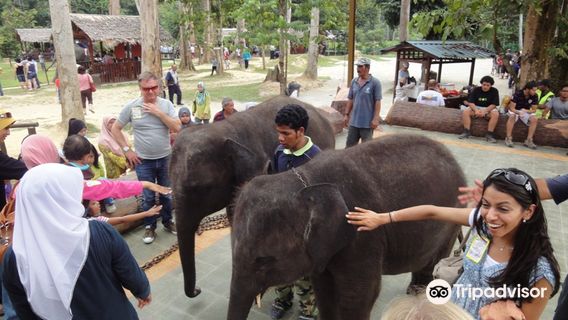 LanchangTours